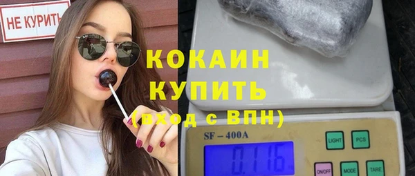гидра Наволоки