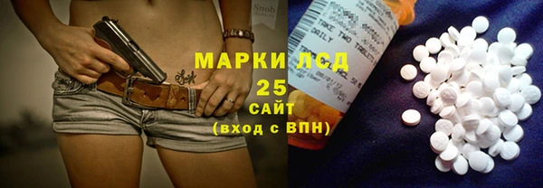 гидра Наволоки