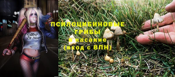 2c-b Надым